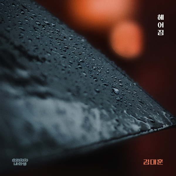 요구르트스튜디오 제공