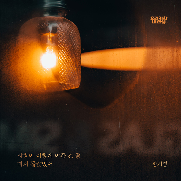 요구르트스튜디오 제공