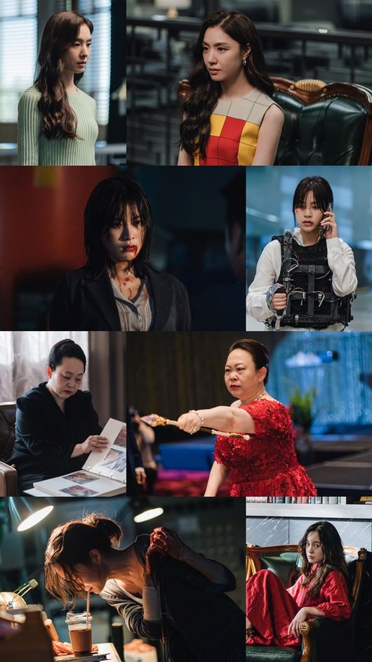 tvN 제공