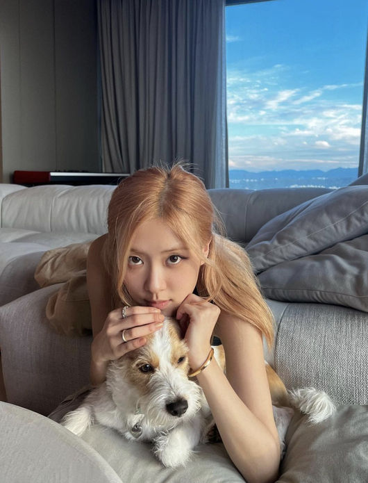 로제 SNS