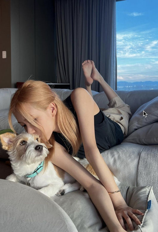로제 SNS