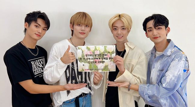 울프번 제공