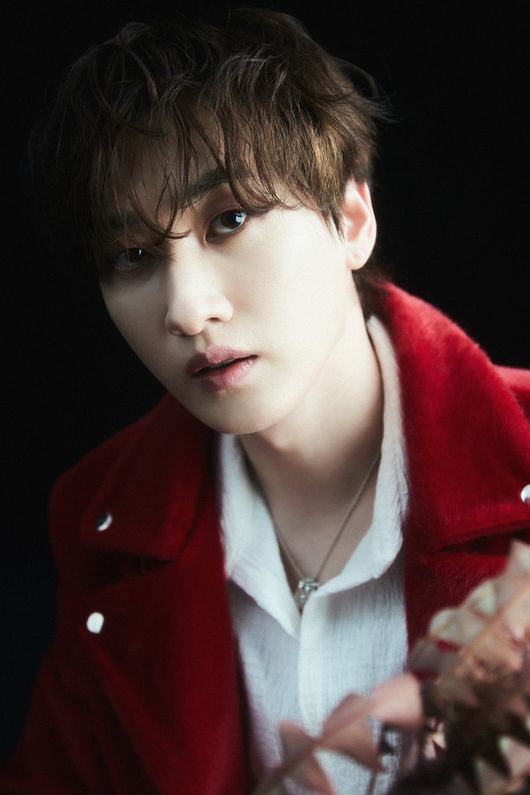 레이블SJ 제공