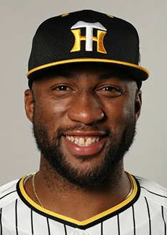 한신 타이거스 공식 홈페이지 캡처 