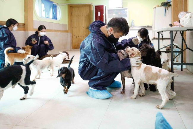 [사진]한국마사회 제공