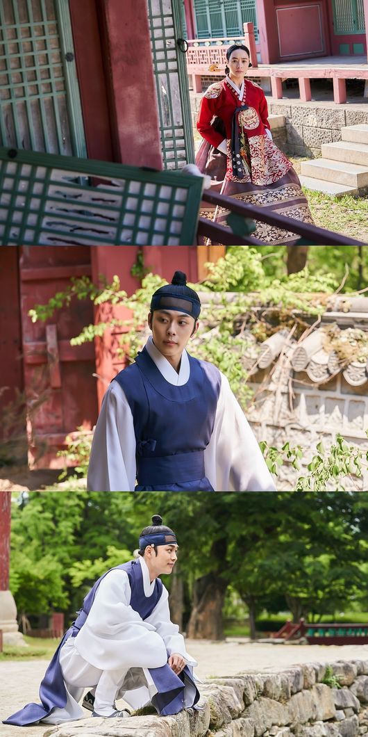 tvN 제공