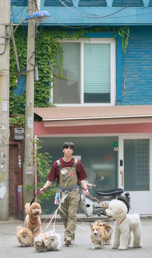 아이윌미디어 제공
