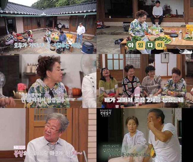tvN STORY 제공