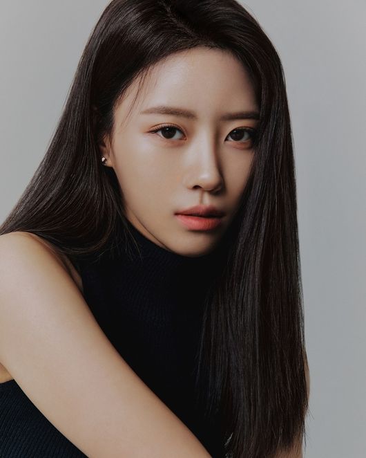 안테나 제공
