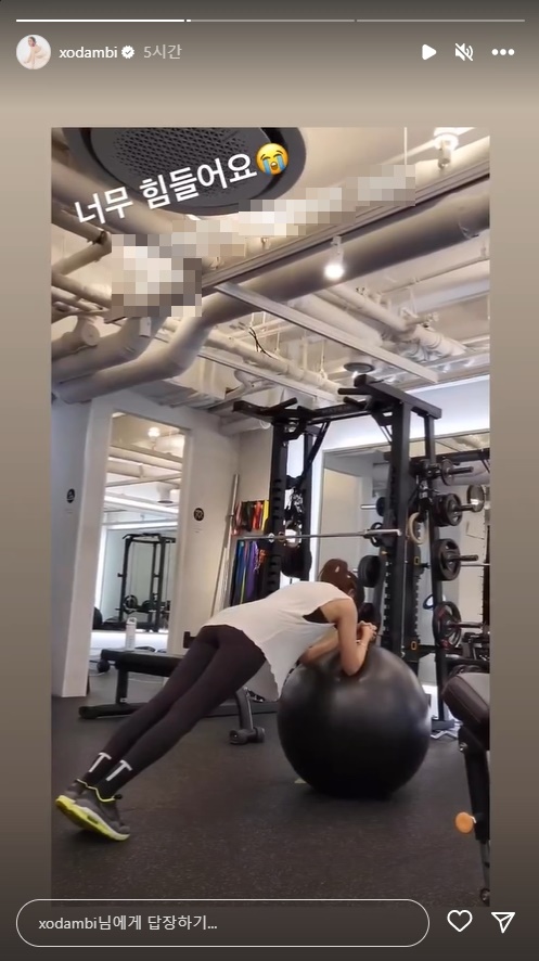 손담비 인스타그램