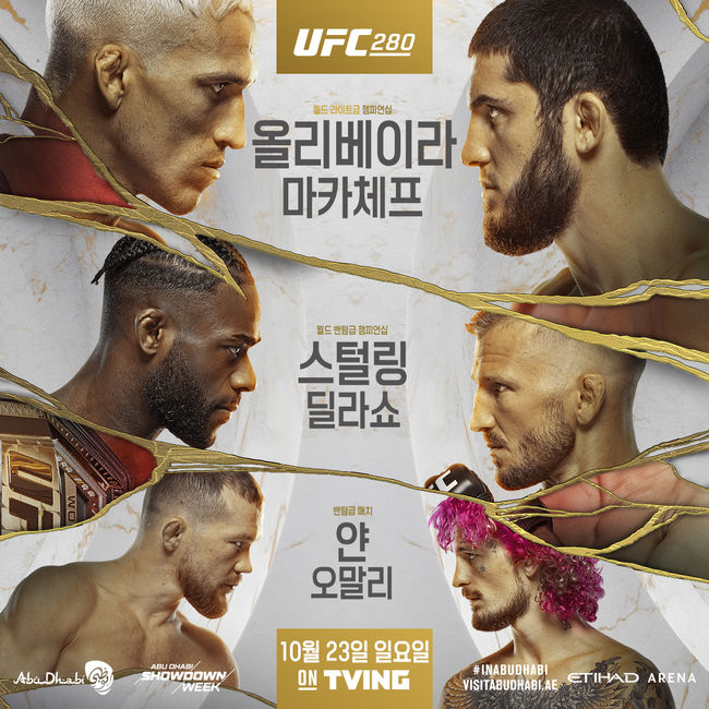 [사진] UFC 제공.