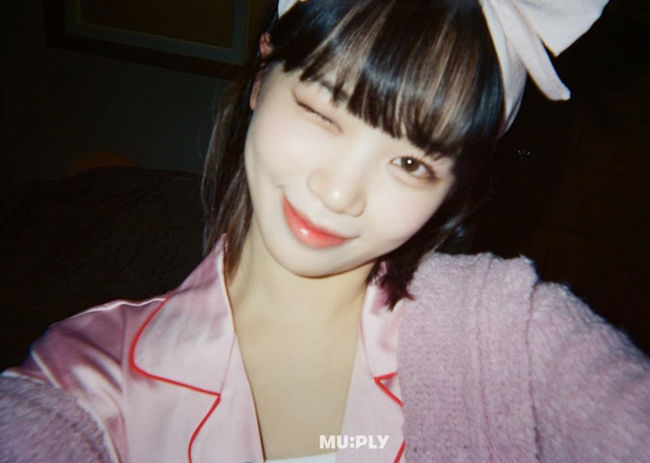 뮤플리 SNS