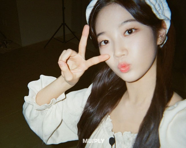 뮤플리 SNS
