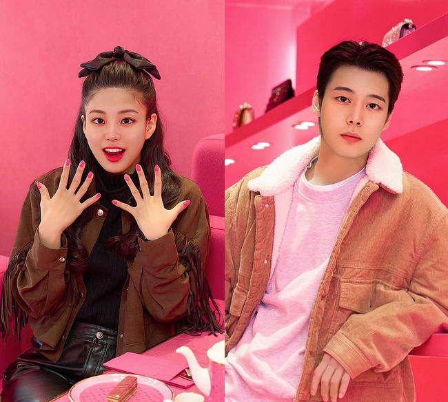 YG PLUS 제공