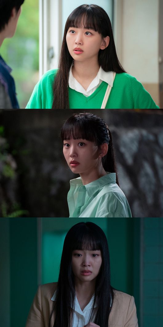아크미디어 제공