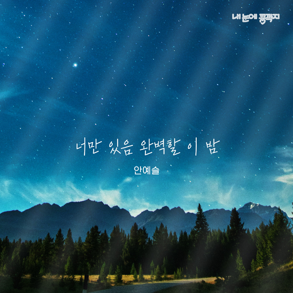 더하기미디어 제공