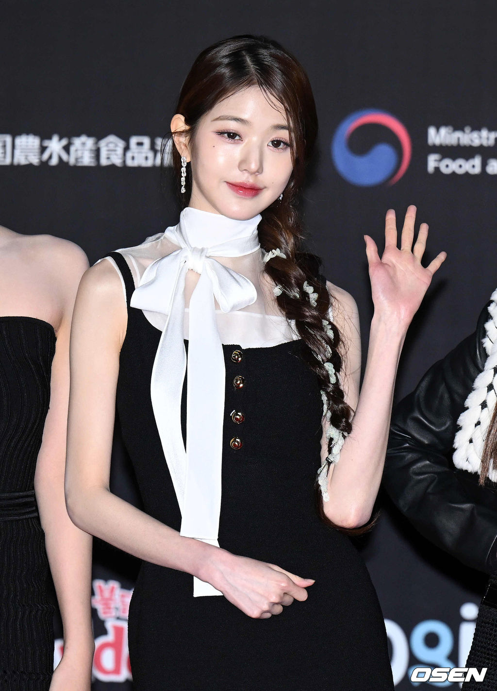 30일 오후(현지시간) 일본 교세라 돔 오사카에서 ‘2022 MAMA AWARDS’ 레드카펫 행사가 진행됐다. 가수 아이브 장원영이 포즈를 취하고 있다. 2022.11.30 /sunday@osen.co.kr