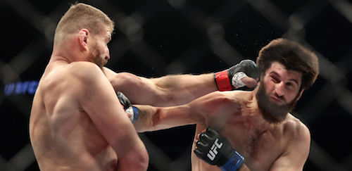 [사진] UFC 한국 미디어커뮤니케이션.