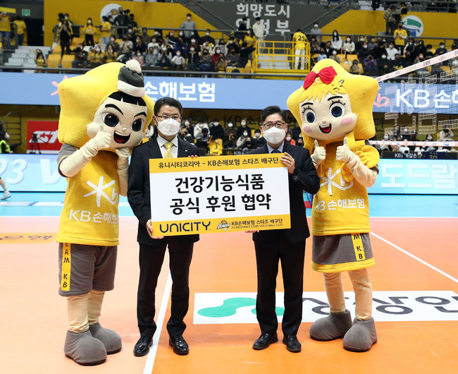 KB손해보험 제공