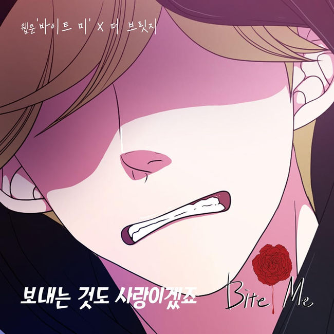 요구르트스튜디오 제공