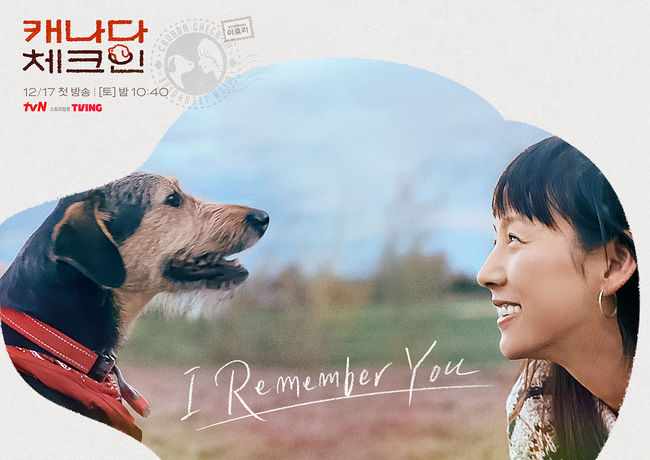 tvN 제공