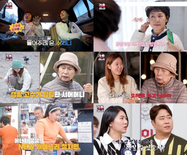 '개며느리' 제공