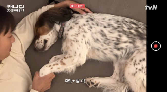 '캐나다 체크인' 방송화면