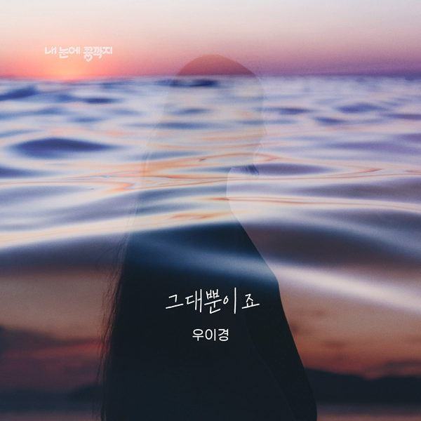 더하기미디어 제공