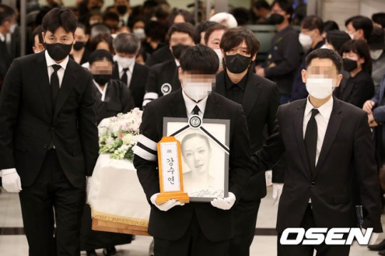 OSEN DB