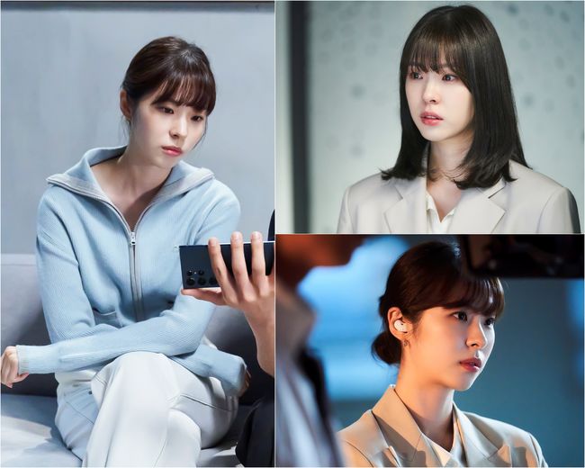하이지음스튜디오 제공