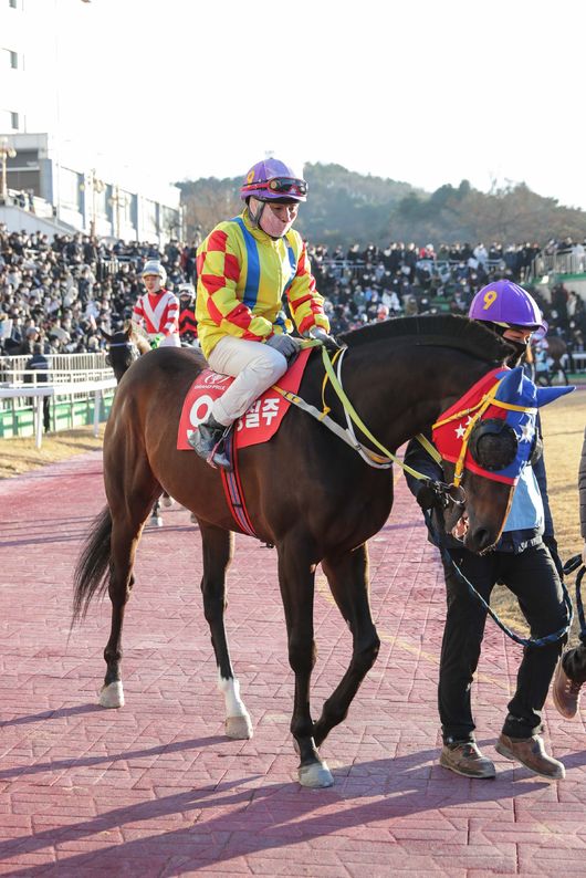 [사진]흥행질주 /한국마사회 제공