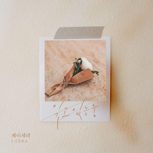 사이다뮤직 제공