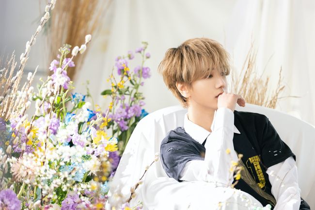 lable sj 제공