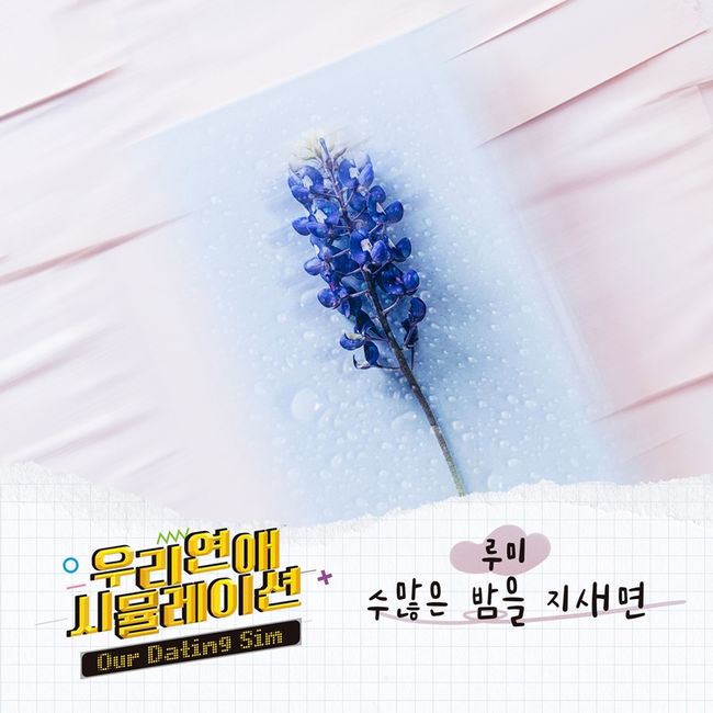 더하기미디어 제공