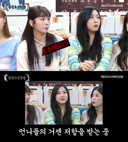 '용진호건강원' 영상화면