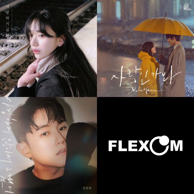 플렉스엠 제공