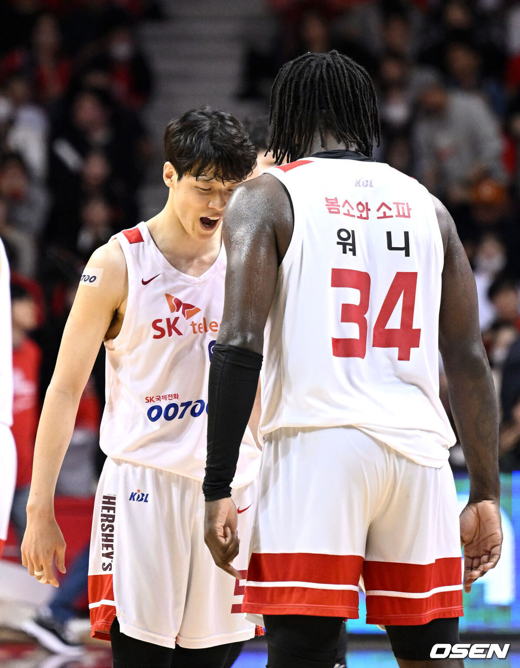 25일 오후 안양실내체육관에서 2022~2023 SKT 에이닷 프로농구 챔피언결정전 1차전 안양 KGC인삼공사와 서울 SK의 경기가 열렸다.4쿼터 작전타임 때 SK 김선형과 워니가 환호하고 있다. 2023.04.25 /sunday@osen.co.kr