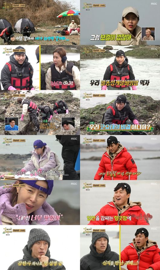 &apos;25년 의리&apos; 코요태, &apos;안다행&apos; 54주 연속 동시간대 1위 견인