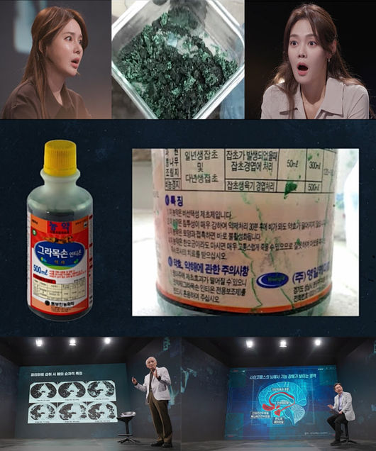 KBS 제공