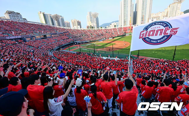 붉은색 동백 유니폼을 입은 롯데 팬들이 응원을 펼치고 있다. 2023.05.20 / foto0307@osen.co.kr