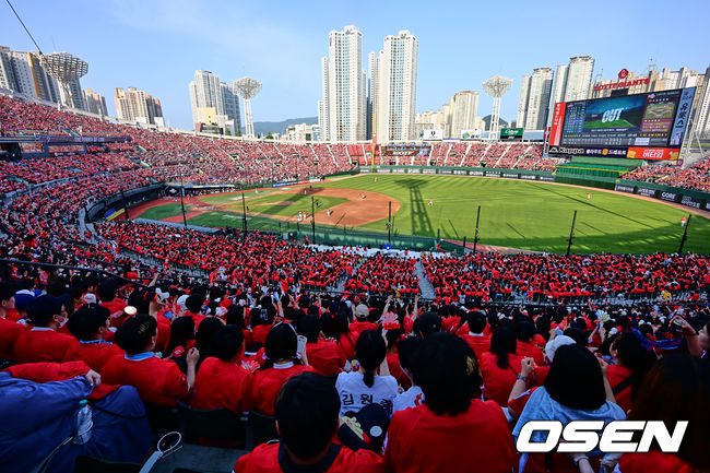 붉은색 동백 유니폼을 입은 롯데 팬들이 응원을 펼치고 있다. 2023.05.20 / foto0307@osen.co.kr