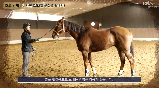 [사진]한국마사회 제공