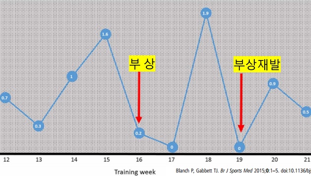 사진 출처 스포츠의학 교과서 