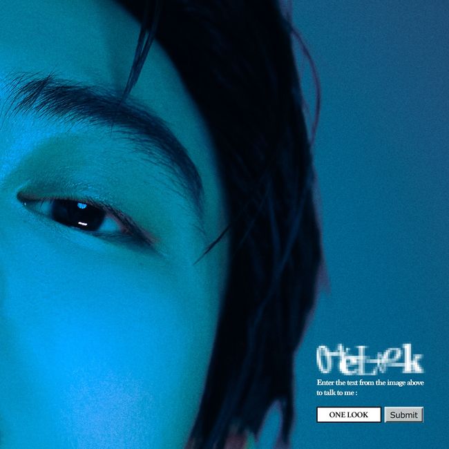 131레이블 제공