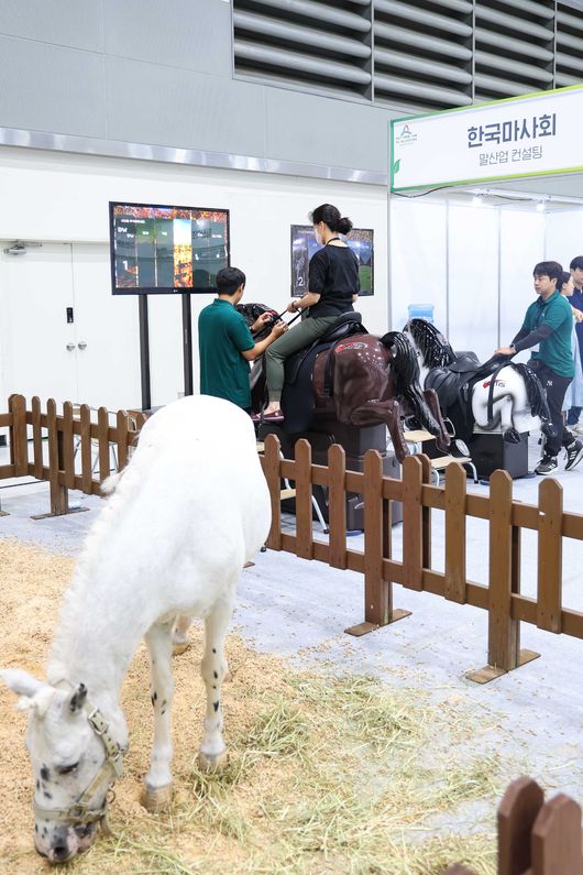 [사진]한국마사회 제공