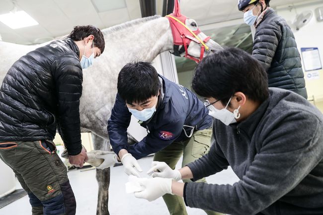 [사진]한국마사회 제공