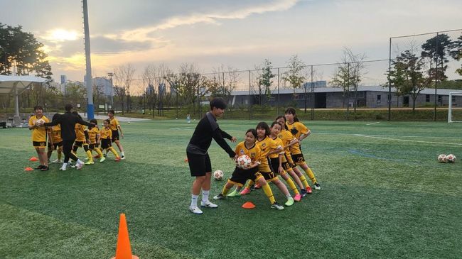 스포츠토토 제공 