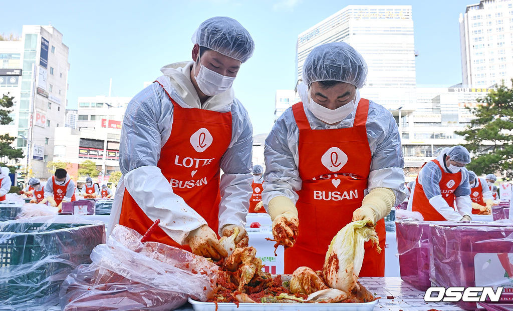 8일 부산 사직구장 정문 광장에서 롯데 사랑나눔 프로젝트 1만포기 김장담그기가 열렸다. 롯데 자이언츠 전미르가 김장을 하고 있다. 2023.12.08 / foto0307@osen.co.kr