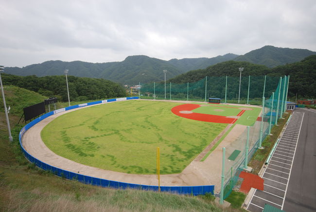 KBO 제공