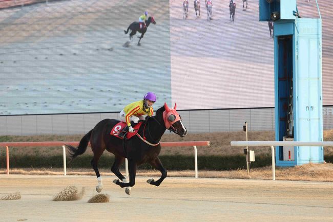 [사진]한강클래스 /한국마사회 제공